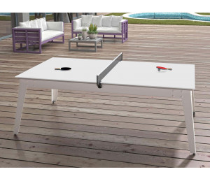 Plateaux table + set ping pong pour billard René Pierre Caraïbes
