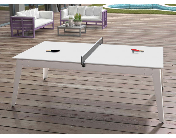 Plateaux table + set ping pong pour billard René Pierre Caraïbes