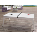 Plateaux table + set ping pong pour billard René Pierre Caraïbes